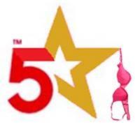 5 Star City 正宗五星 Company Logo